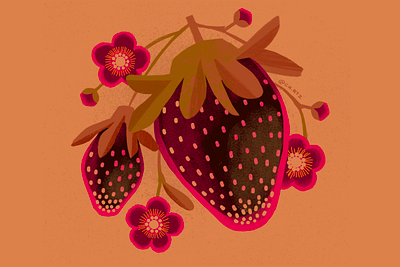 September Strawberries botanical farm graphic illustration illustrator market spot warm