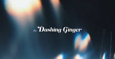 The Dashing Ginger Rebrand branding creative design design designer graphic design illustration logo puerto rico small business tampa