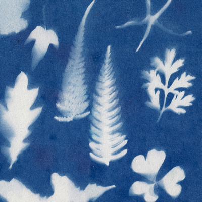 Cyanotype color craft cyanotype design diy silouette texture