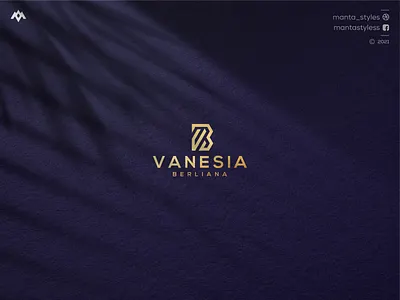 Initial VB Logo app brand mark branding design icon illustration initial logo jewelry letter logo luxury minimal royal brand sale logo top logo ui vector