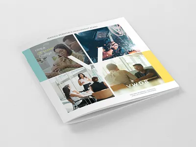 VWDB Overview Brochure branding brochure collateral graphic design marketing collateral