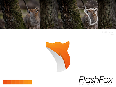 Flash Fox Logo animals app brand branding clean color design fox gradient identity illustration lettering logo minimal minimalist modern simple vector