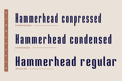 Hammerhead Typeface | Font branding clean font font graphic design headfonts illustration professional font sans serif font type typeface typography