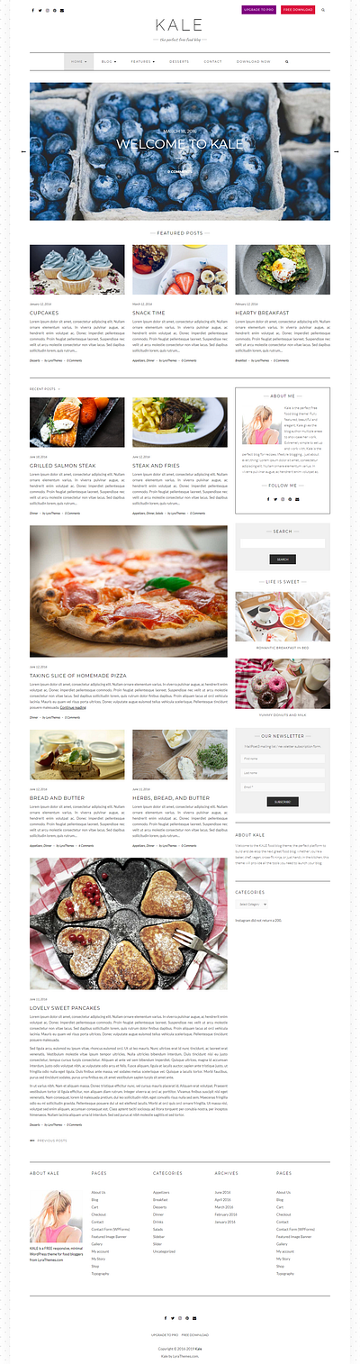 Best Free WordPress Themes for Food Blogs 2021 blog blogger
