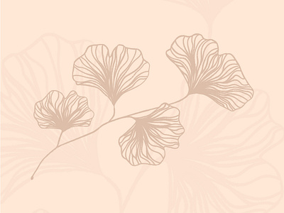 Ginkgo Illustration drawing floral ginkgo ginkgo leaves illustration linework