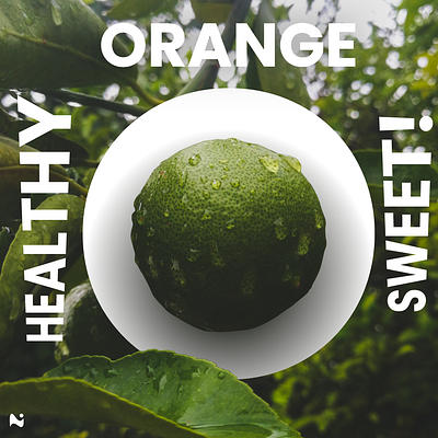 Orange - Sweet and Healthy One banner design design forest fruit graphic design healthy illustration logo nature orange sweet typography vector