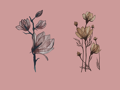 Flower art branding design graphic design illustration logo vector