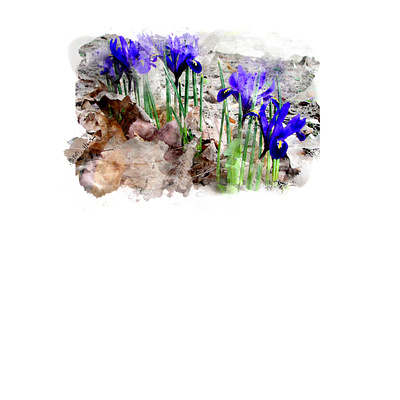 First Color, 2021 botanical digital painting illustration nature photoshop