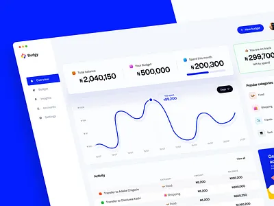 Budgy - A budget planner dashboard app design budget dailyui dashboard design illustration ui uidesign uiux uiuxdesign ux web