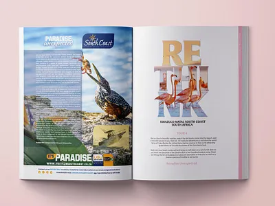 Southern Explorer Magazine DPS branding design illustration logo typography ux vector