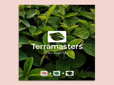 Logo Design [ Terramasters ] graphic design logo logo design