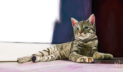 Cat illustration