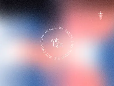 saltlight - mood brand branding design illustration logo typography vector