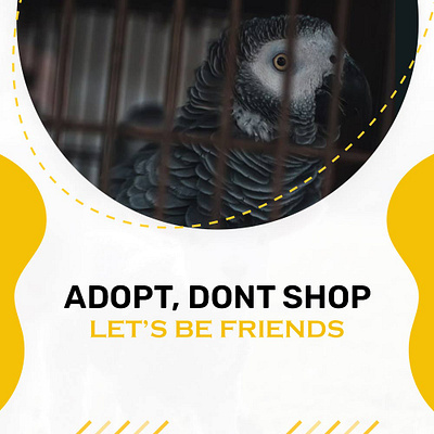 Adopt, Don't shop let's be Friends design logo typography vector