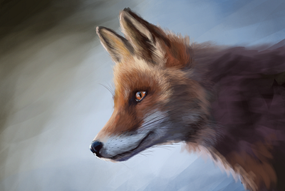 Fox digital painting digital art digital painting fox illustration procreate