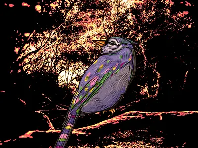 Mysterious Bird animal artistic bird brush colorful dark design filter graphic design illustration jungle mysterious nature photoshop wacom intuos