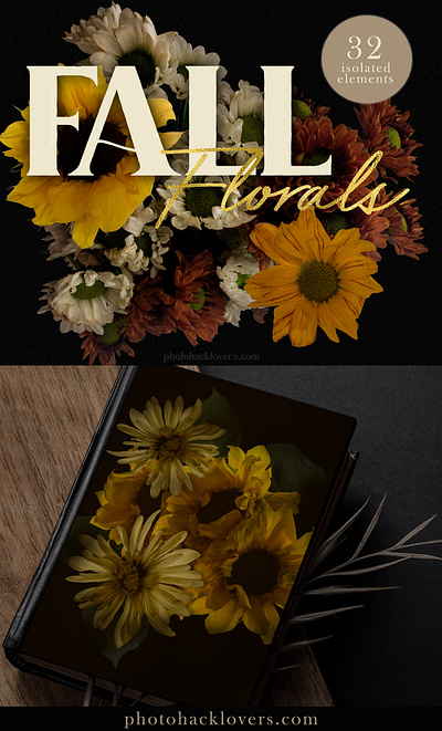 Fall Transparent Floral Clipart branding transparent floral