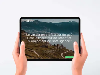 Les Voyages de Bacchus 🍇 Wine Tour 🍷 bacchus branding croatia design flag france graphic design italie logo travel ui wine wine tour