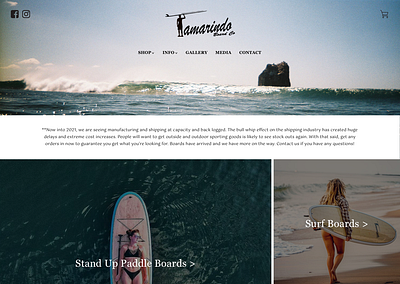 Tamarindo Board Co. ReDesign Concept branding design graphic design surf user experience ux webdesign website website design