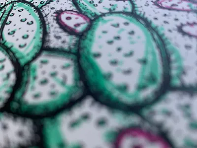 Cactus Nopal Sketchbook Illustration botanical cactus desert drawing illustration ink journal mexico needles nopal pen and ink sketchbook south west