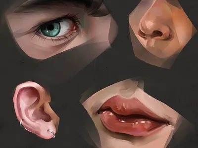 Some sketches 2d anatomy art cg drawing illustration painting procreate sketch