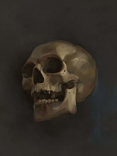 Skull illustration 2d art drawing illustration painting procreate skull