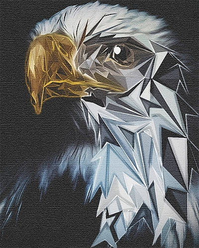 Eagle Bird art design digitalart eagle eaglebird graphicdesign illustration surreal texture vector