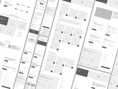 Anaqua - Wireframes design graphic design interactive design redesign responsive ui ux web design wireframes