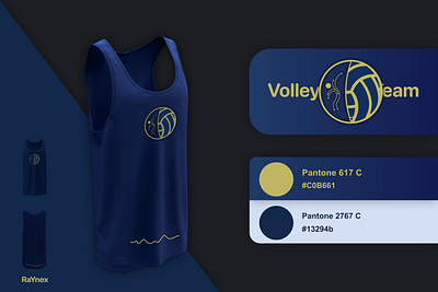 VolleyTeam branding design illustration logo