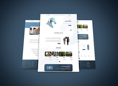 Abdalluah Almahmood design minimal ui uidesign uiux user interface design web الخيول العربية تصميم واجهات واجهة المستخدم