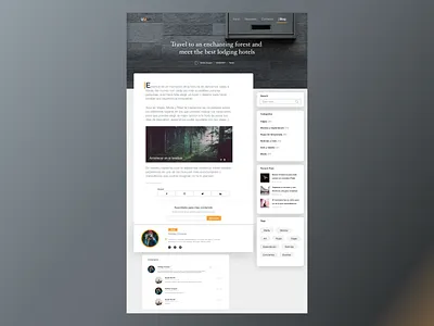 Blog Post – Post View blog design post post view ui ux web website