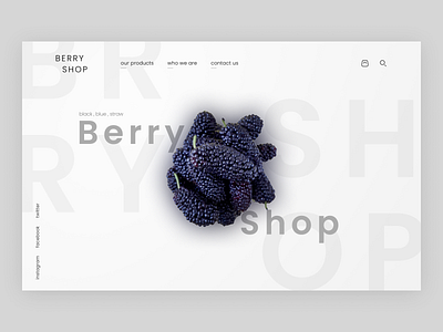 Berry shop - website concept background banner berry big font blackberry figma fruit fruit shop header home page landing page menu minimal online store poppins shop slider website