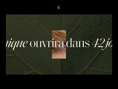 Showreel 2021 — 1/3 animation clmt design freelance french interactive interface motion muzli showreel ui webdesign website
