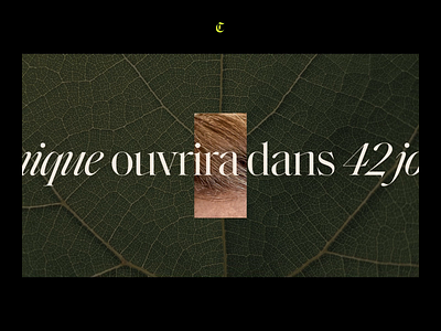 Showreel 2021 — 1/3 animation clmt design freelance french interactive interface motion muzli showreel ui webdesign website