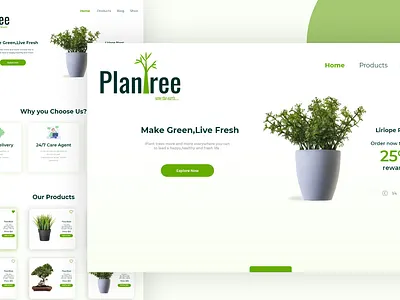 PlanTree Plant shop branding design graphic design illustration photoshop pla plant plant shop ui uiux ux webdesign