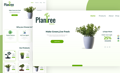 PlanTree Plant shop branding design graphic design illustration photoshop pla plant plant shop ui uiux ux webdesign