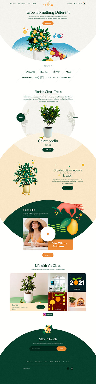 Via Citrus Website design illustration shopify ui ux web website