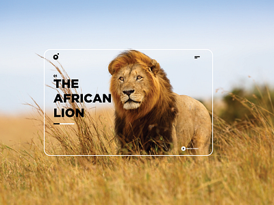 UI for animal website design graphic design illustration ui ux