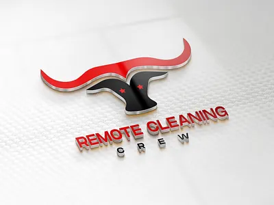 Vintage logo for remote cleaning crew 3d branding graphic design logo