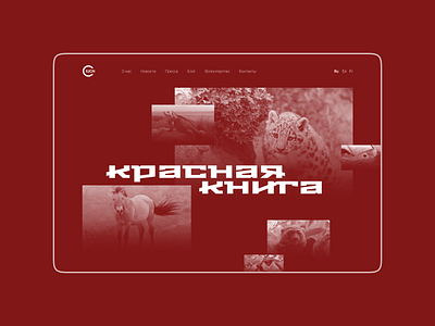 Дизайн сайта красной книги в стиле миниморфизм clean design minimal minimorphism typography ui web website миниморфизм