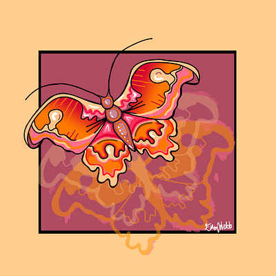 Atlas Moth animation design graphic design illustration