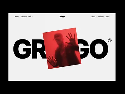 Gringo Template hero interactions marketplace template webflow website