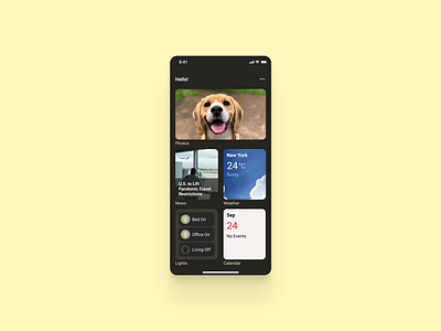Notes Widget 065 app concept dailyui design mobile notes widget ui