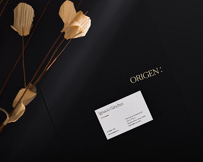 Origen branding design graphic design real state