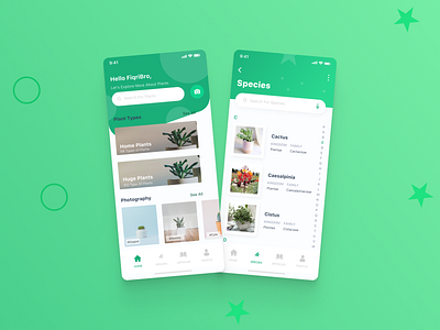 Plant App Design app design mobile plant ui ui design