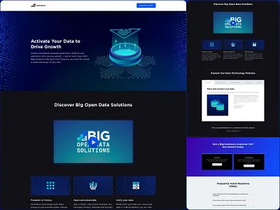 Big Open Data Solutions branding dark ui data illustration web design
