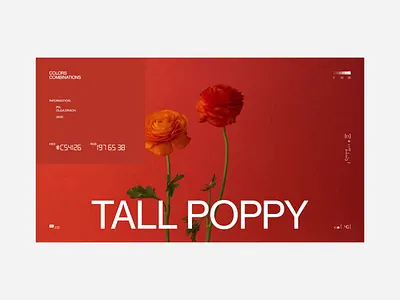 Colors Combinations colors education fashion grid interaction minimalism obys typography ui webdesign