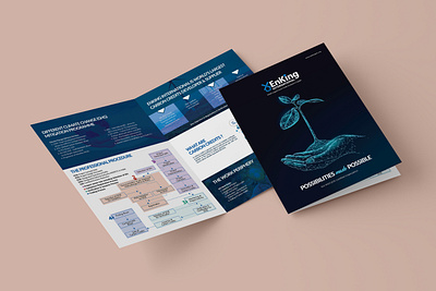 Enking International Brochure brand branding brochuredesign dribbble eddie lobanovskiy graphic design illustra illustration vector