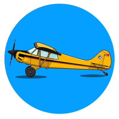 Aviat Husky A-1B avation illustration plane