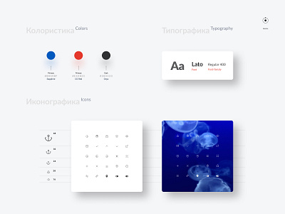 Guideline & Design system branding design system guideline ui webdesign